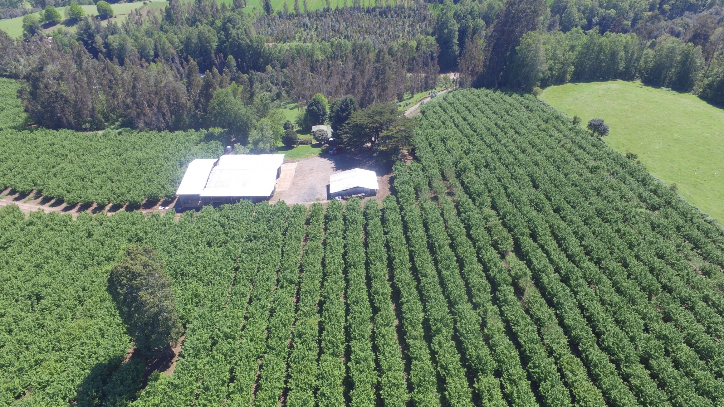 gallery/DJI_0914
